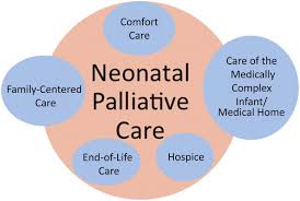 • categorized under health | difference between palliative care and hospice. Comfort Care Vs Palliative Care Is There A Difference In Neonates American Academy Of Pediatrics