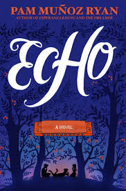 Image result for echo book cover