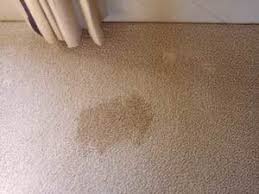 how to get bleach stains from carpet