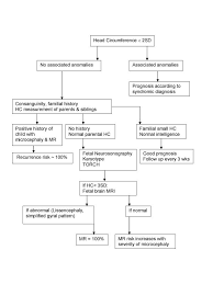 Flow Chart In Patients With Suspected Microcephaly