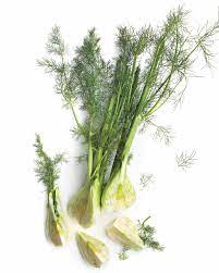 25 truly fabulous fennel recipes