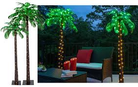 Lighted Palm Trees
