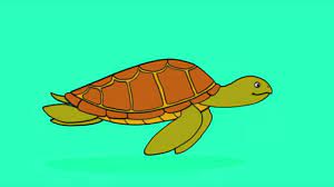 L'image tortue ninja à colorier est hébergé sur une banque d'images comportant présentement : Apprendre A Dessiner Une Tortue De Mer Youtube