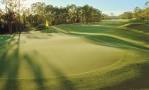 The Dye Preserve Golf Club in Jupiter, Florida, written by Pete ...