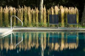 Poolside Plant Combinations