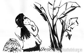 Kết quả hình ảnh cho ru của mẹ