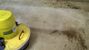 bravo carpet cleaning cranbrook the