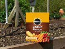 When should I put chicken manure in my garden?