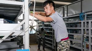 Mining is the process of adding transaction records to bitcoin's public ledger of past transactions (and a mining rig is a colloquial metaphor for a single computer system that performs the necessary computations for mining. Photos China Has One Of World S Largest Bitcoin Mines Quartz