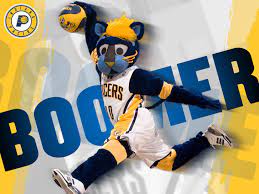 Limit my search to r/pacers. Boomer Indiana Pacers Mascot Mascot Indiana Pacers Cheerleading