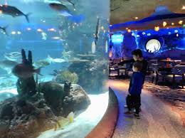 Aquarium Restaurant in Nashville, Tennessee - Indy's Child Magazine gambar png