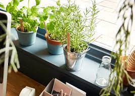 Herb Garden Homebase