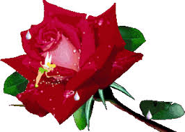 RÃ©sultat de recherche d'images pour "gif animÃ© fleurs roses"
