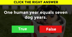 Rd.com knowledge facts you might think that this is a trick science trivia question. Test Your Academic Trivia Knowledge With This Quiz Mydailyquizz