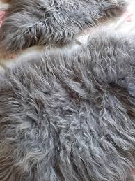 large silver grey icelandic sheepskin