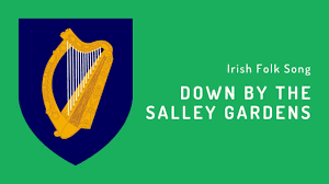 irish folk song down by the salley