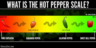 What Is The Hot Pepper Scale Scoville Heat Units
