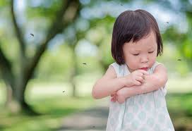 Dengue fever rash or shock syndrome. Dengue In Babies And Toddlers Causes Symptoms Treatment