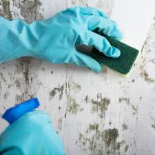 How To Remove Stains From Walls A