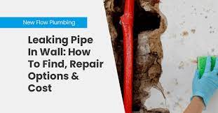 Leaking Pipe In Wall How To Find