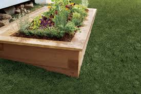 In addition to creating more planting space, building a raised garden bed is a good way to tap into the health benefits of gardening. How To Build A Raised Planting Bed This Old House