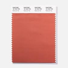 Pantone 18 1645 Tsx Valiant Red Polyester Swatch Card