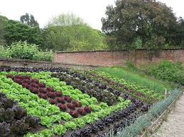 40 Vegetable Garden Design Ideas What
