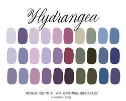 Hydrangea Color Palette For Procreate