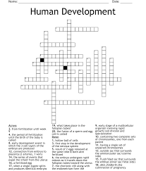 human development crossword wordmint