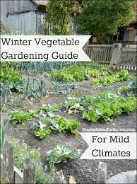 Winter Vegetable Gardening Guide For