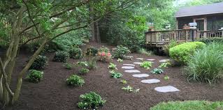 Popular Softscape Landscaping Ideas
