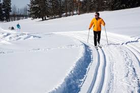 cross country skiing for beginners