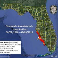 Florida Red Tide 2018 Map Update When Will Red Tide End