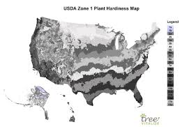 usda zone 1 where is it what to plant