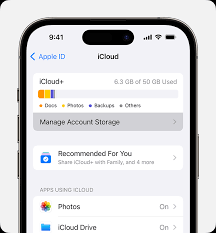 downgrade or cancel your icloud plan
