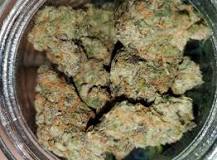 Image result for grape pie cookies strain