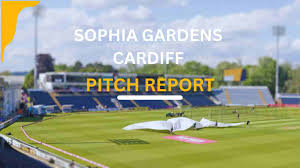 sophia gardens cardiff pitch report