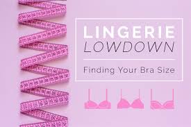 Lingerie Lowdown Finding Your Bra Size Tomimas Blog