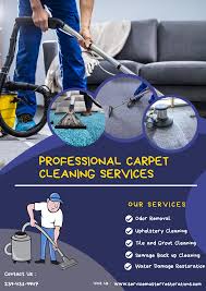 carpet cleaning company fort myers fl