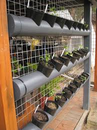 vertical vegetable garden