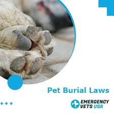 pet burial laws is it legal to bury