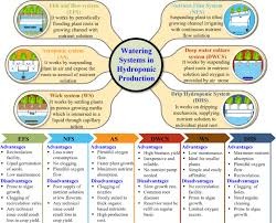 present status and challenges of fodder