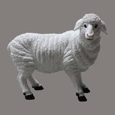 Standing Sheep 27 10998