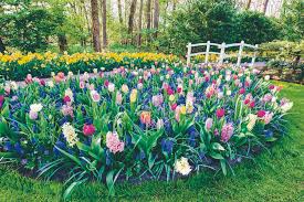 Pack Your Garden With Bulbs Country