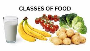 Classes of food: BusinessHAB.com