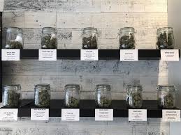 Be a colorado resident be 18 or older have a qualifying medical condition minors minors are eligible for a medical marijuana card if: Mmj Rx A Personal Account Of Finally Getting A Colorado Medical Marijuana Registry Card Aspentimes Com