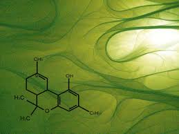 47 organic chemistry wallpaper