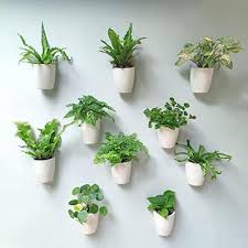Wall Planters For Indoor Plants