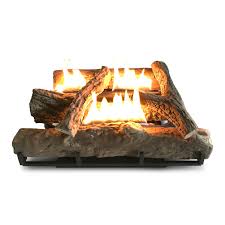 Alva Fireplace Heater Gas 52cm