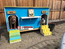 Double Dog House Diy Project